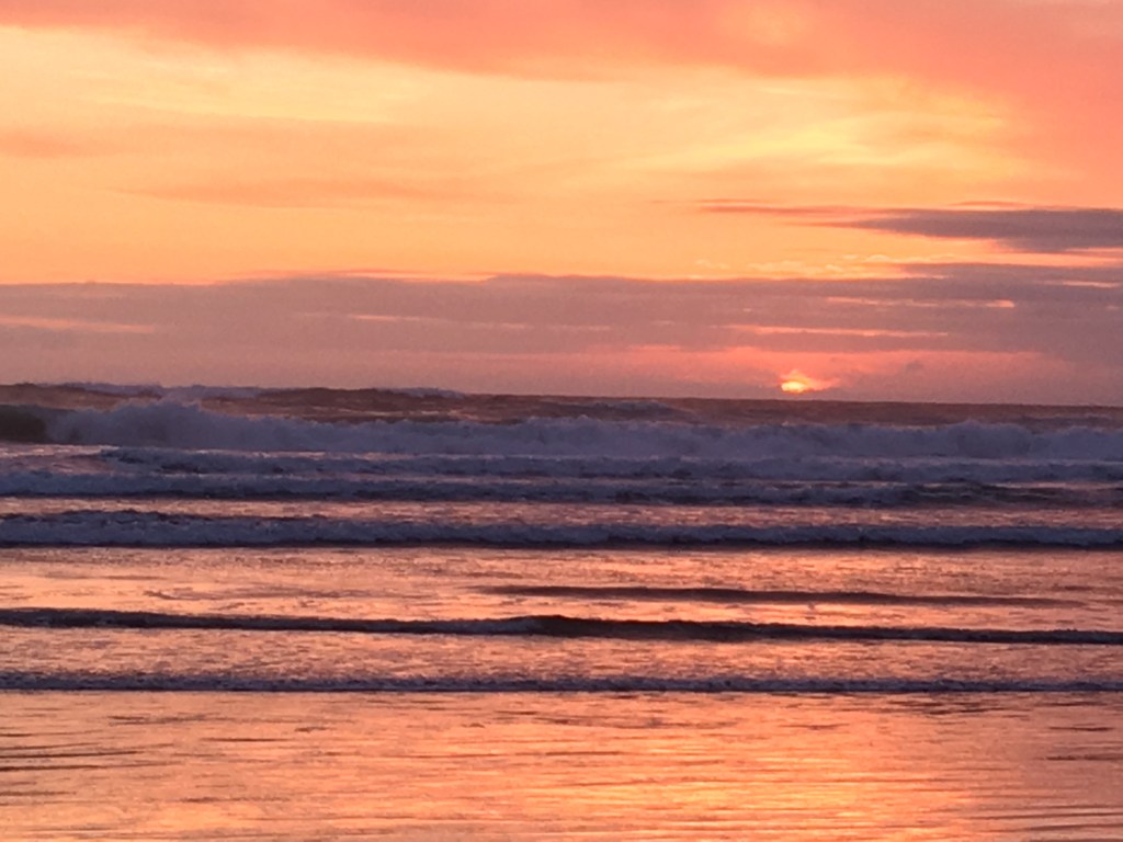 Through Thorns and&nbsp;Waves